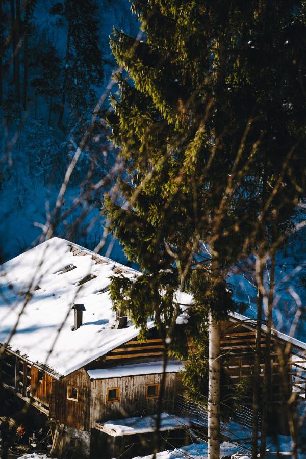 Appartamento Laerchenwirt Dolomites San Nicolo di Comelico Esterno foto