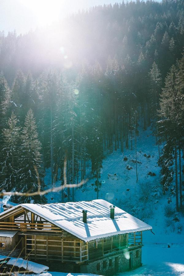 Appartamento Laerchenwirt Dolomites San Nicolo di Comelico Esterno foto