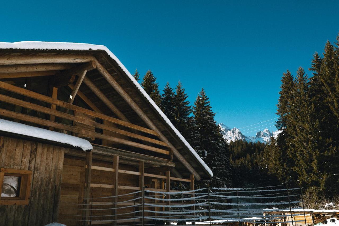 Appartamento Laerchenwirt Dolomites San Nicolo di Comelico Esterno foto