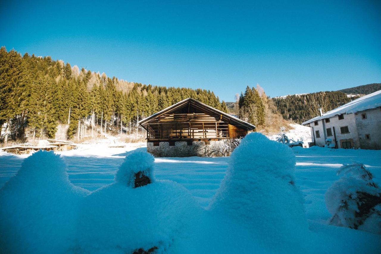 Appartamento Laerchenwirt Dolomites San Nicolo di Comelico Esterno foto